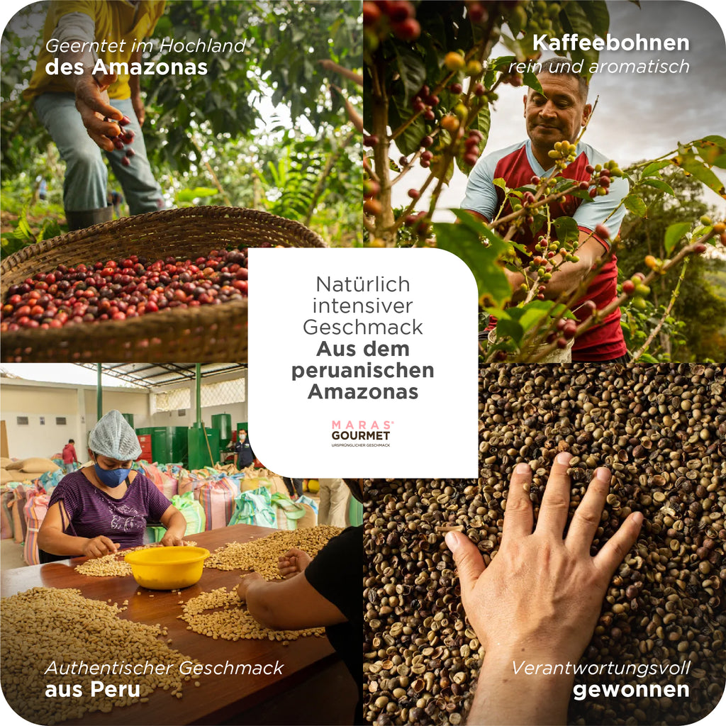 Kaffee Gourmet Kuntu, ganze Bohnen - Doypack, 250 g