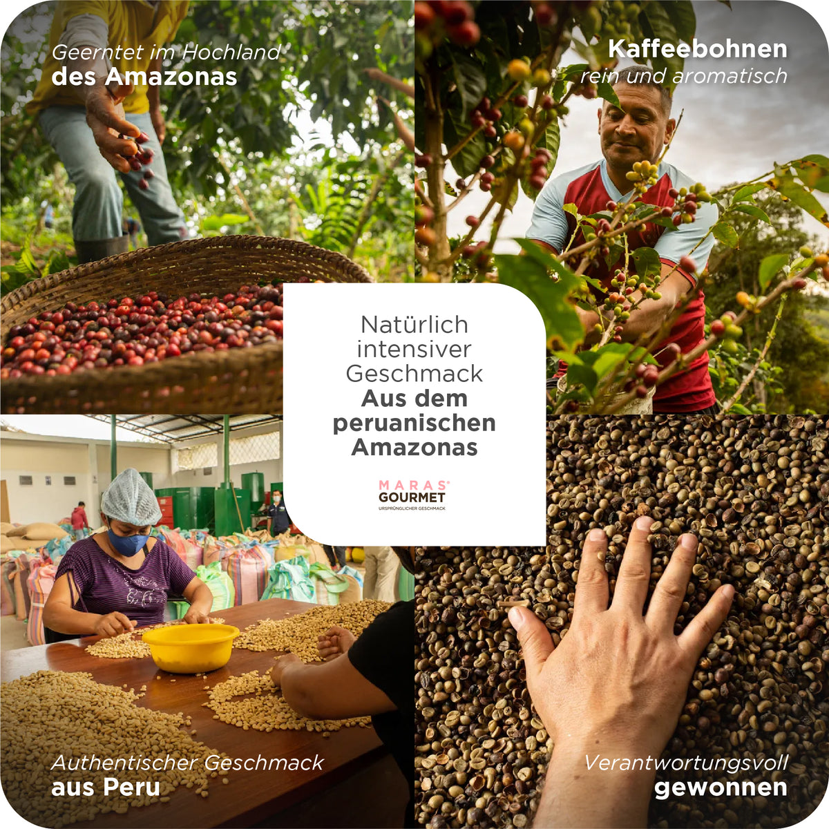 Kaffee Gourmet Kuntu, gemahlen - Doypack, 250 g