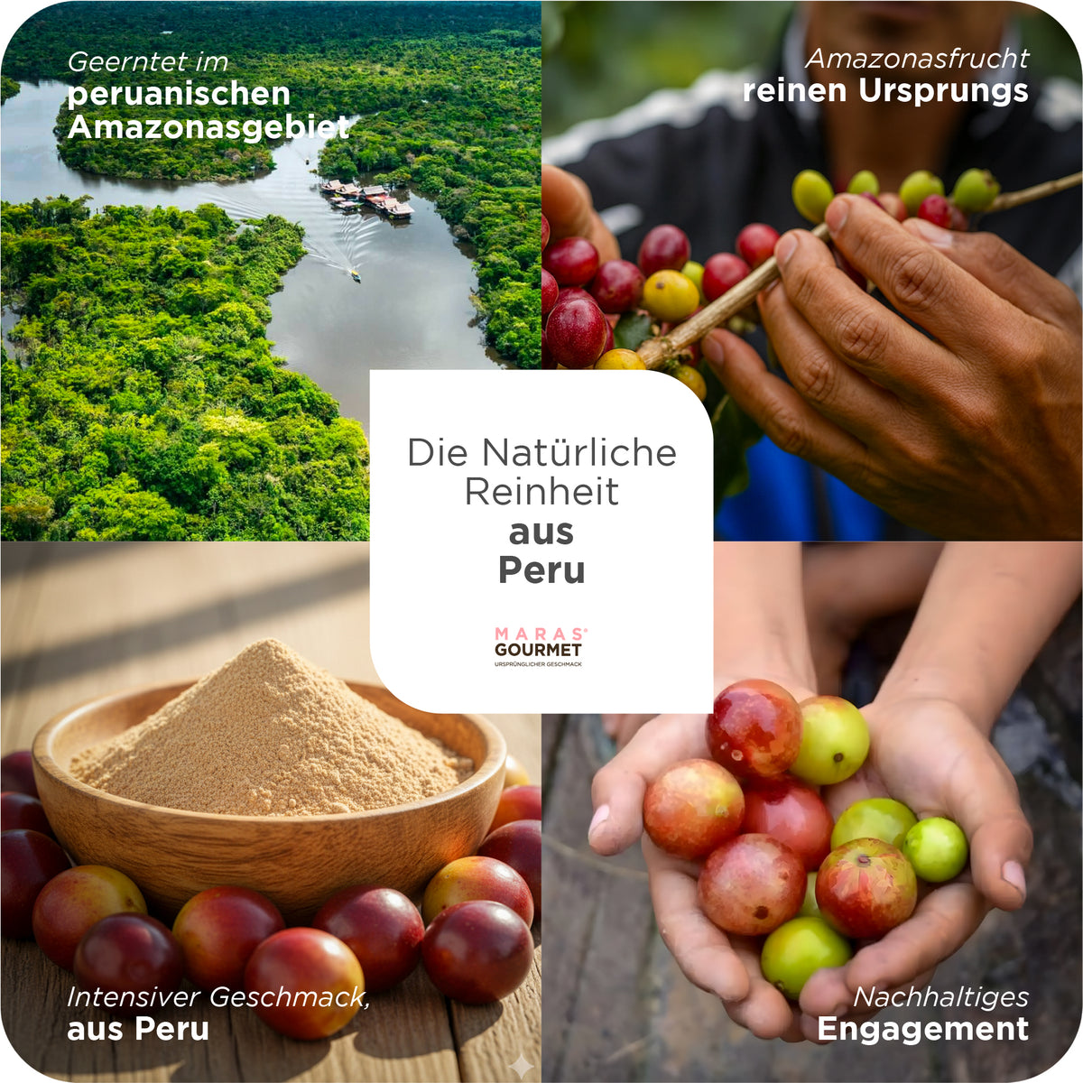 Camu Camu Superfood Reines Bio-Camu-Camu-Pulver – Großgebinde-Karton 14 kg (7 Beutel  2 kg)